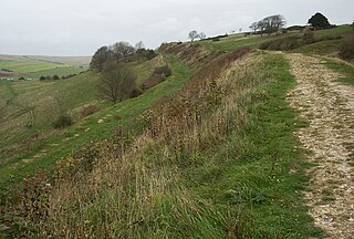 Cissbury Ring