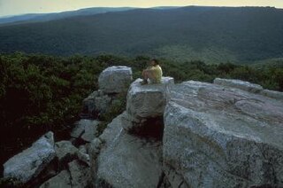 Catoctin Mountain