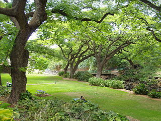 Lili'uokalani Botanical Garden