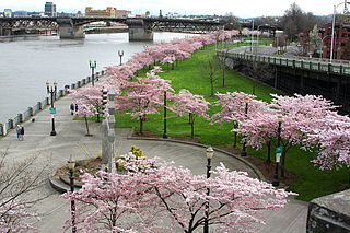 Governor Tom McCall Waterfront Park