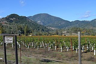 Mount Saint Helena