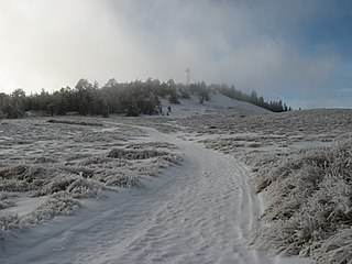 Mount Pinos