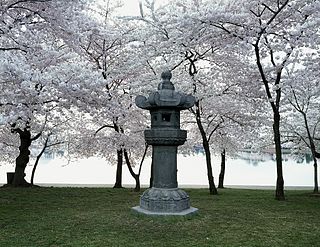 Japanese Lantern