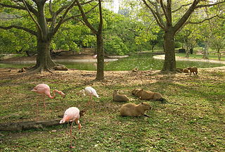 Parque Zoológico El Pinar